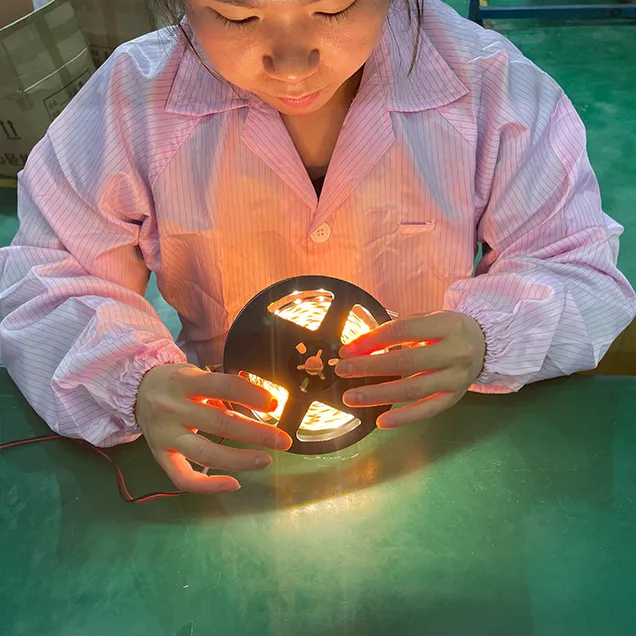 LED lights appearance inspection