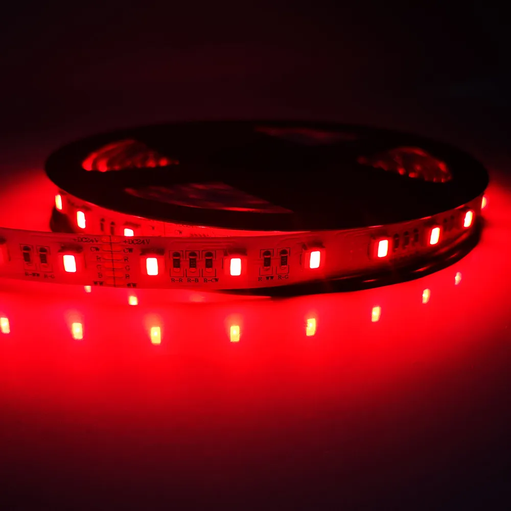 5050RGBWW LED ruban 60LED