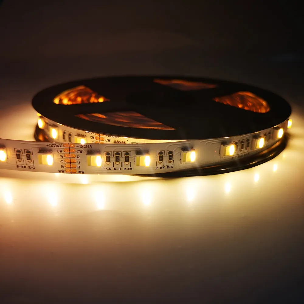 5050RGBWW LED ruban 60LED