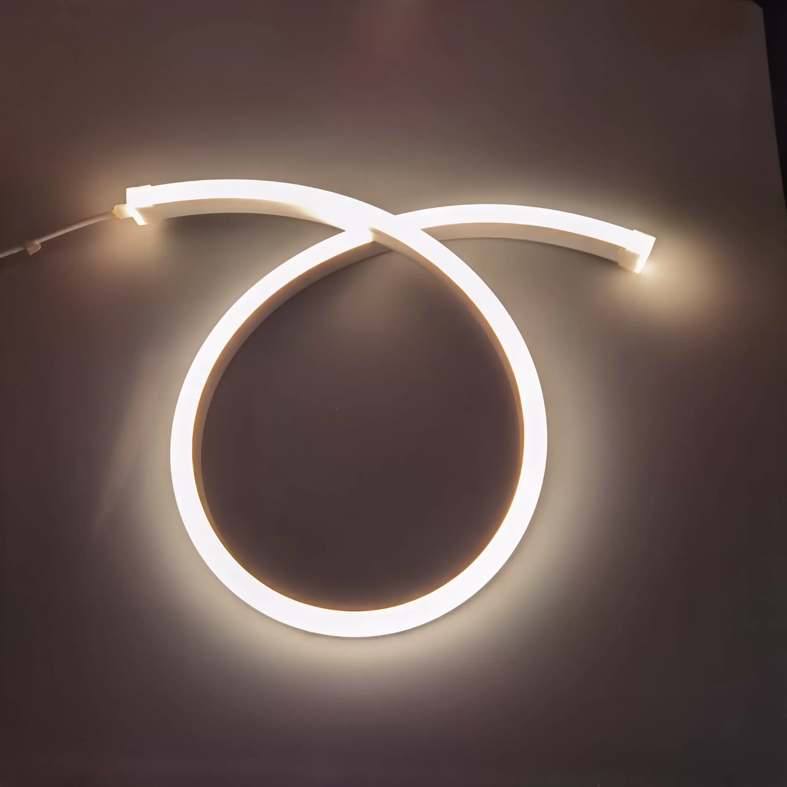 LED Neon flex strip1220