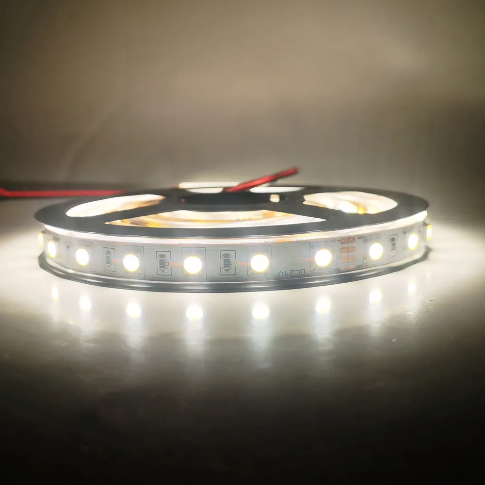 LED strips factory 5050 60LED 12V 24V