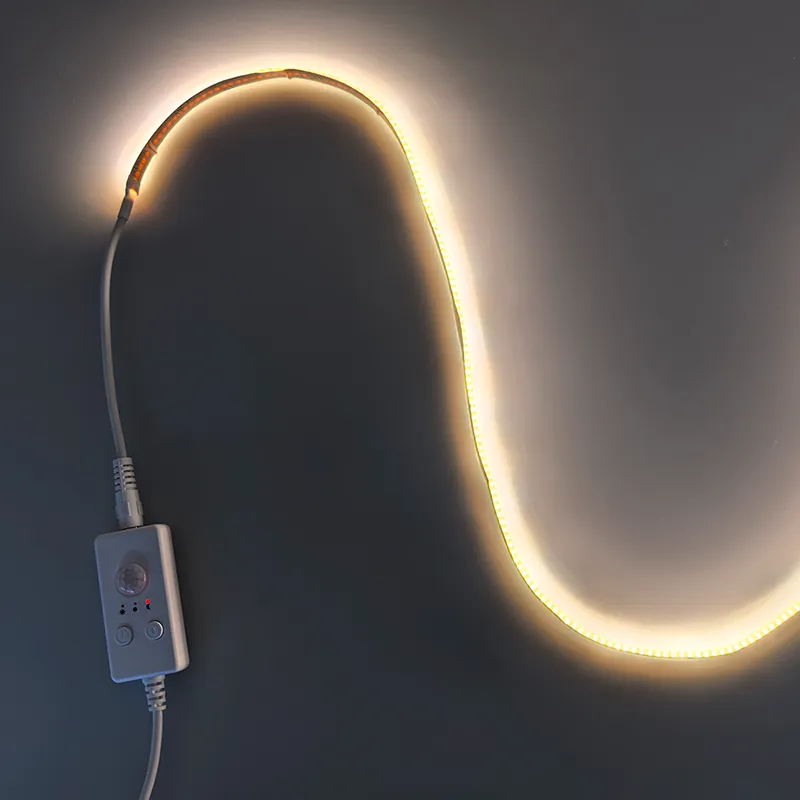 COB Strip with PIR sensor with USB 2