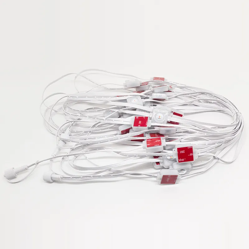 Smart Eaves Lights manufacturer RGB WIFI uya App and Remote Control 2